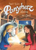 Nachts im Stall / Ponyherz Bd.6 (eBook, ePUB)