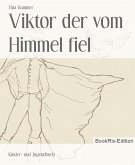 Viktor der vom Himmel fiel (eBook, ePUB)