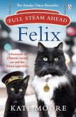 Full Steam Ahead, Felix (eBook, ePUB)