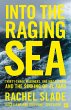 Into the Raging Sea - Bild 1