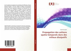 Propagation des solitons spatio-temporels dans des milieux dissipatifs - Kamagaté, Aladji