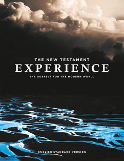 The New Testament Experience - Abrupt Media;Darby, Carlos