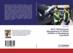 W13: Performance Management of Water Utilities in Developing Countries