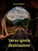 Verso ignota destinazione (eBook, ePUB)