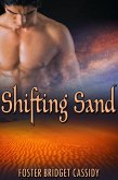 Shifting Sand (eBook, ePUB)