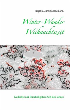 Winter-Wunder-Weihnachtszeit (eBook, ePUB)
