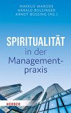 Spiritualität in der Managementpraxis (eBook, PDF)
