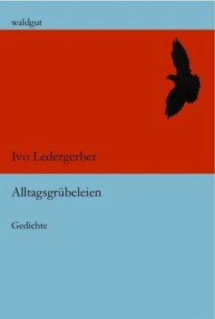 Alltagsgrübeleien - Ledergerber, Ivo