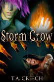 Storm Crow (eBook, ePUB)