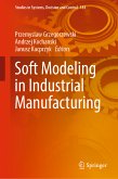 Soft Modeling in Industrial Manufacturing (eBook, PDF)