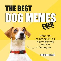 The Best Dog Memes Ever - Ellis, Charlie