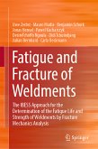 Fatigue and Fracture of Weldments (eBook, PDF)