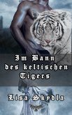 Im Bann des keltischen Tigers (eBook, ePUB)