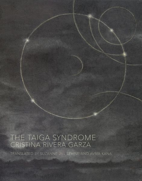 The Taiga Syndrome (eBook, ePUB)