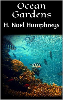 Ocean Gardens (eBook, ePUB)