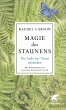 Magie des Staunens (eBook, ePUB) - Bild 1