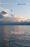 freigesetzt (eBook, ePUB)