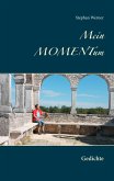 Mein Momentum (eBook, ePUB)