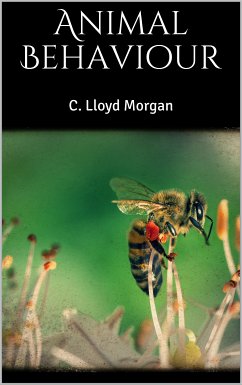 Animal Behaviour (eBook, ePUB)