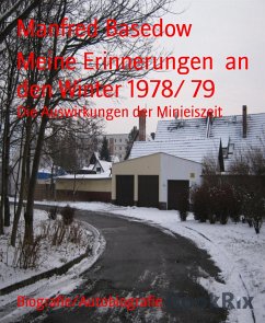 Meine Erinnerungen an den Winter 1978/ 79 (eBook, ePUB) - Basedow, Manfred