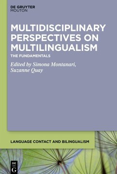 Multidisciplinary Perspectives on Multilingualism