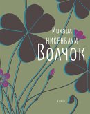 Волчок (eBook, ePUB)