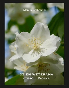 Cover Dzien Weterana (eBook, ePUB)