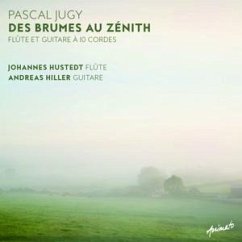 Des Brumes Au Zenith - Hustedt,Johannes & Hiller,Andreas