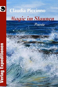 Magie im Staunen (eBook, ePUB)