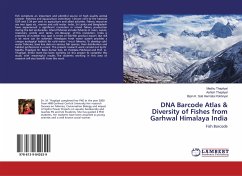 DNA Barcode Atlas & Diversity of Fishes from Garhwal Himalaya India - Thapliyal, Madhu;Thapliyal, Ashish;Hemlata Pokhriyal, Bipin K. Sati
