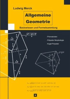 Allgemeine Geometrie - Merck, Ludwig