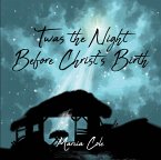 Twas the Night Before Christ's Birth (eBook, ePUB)
