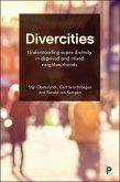 Divercities (eBook, ePUB)