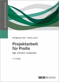 Projektarbeit für Profis (eBook, PDF)