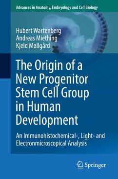 The Origin of a New Progenitor Stem Cell Group in Human Development (eBook, PDF) - Wartenberg, Hubert; Miething, Andreas; Møllgård, Kjeld