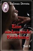 Eine andauernde Erziehung, Teil3 (Erotik, BDSM, MaleDom) (eBook, ePUB)