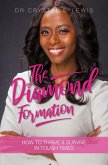 The Diamond Formation (eBook, ePUB) The Diamond Formation (eBook, ePUB)
