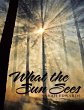 What the Sun Sees (eBook, ePUB) - Bild 1