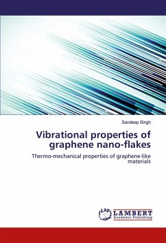 Vibrational properties of graphene nano-flakes