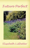 Future Perfect (eBook, ePUB)