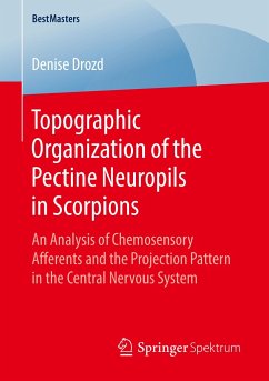 Topographic Organization of the Pectine Neuropils in Scorpions - Drozd, Denise