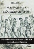 ¿Malleable at the European Will¿: British Discourse on Slavery (1784¿1824) and the Image of Africans