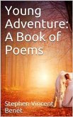 Young Adventure: A Book of Poems (eBook, PDF)
