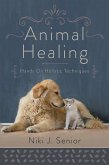 Animal Healing (eBook, ePUB)