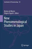 New Phenomenological Studies in Japan