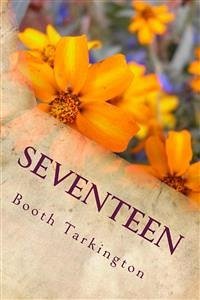 seventeen (eBook, ePUB) - Tarkington, Booth