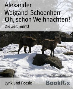 Oh, schon Weihnachten! (eBook, ePUB) - Weigand-Schoenherr, Alexander