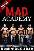 Mad Academy (eBook, ePUB)