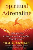 Spiritual Adrenaline (eBook, ePUB)