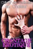 Chantage Erotique (eBook, ePUB)